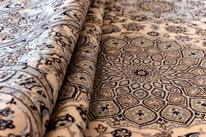 6' 9 x 10' 2 Nain Rug