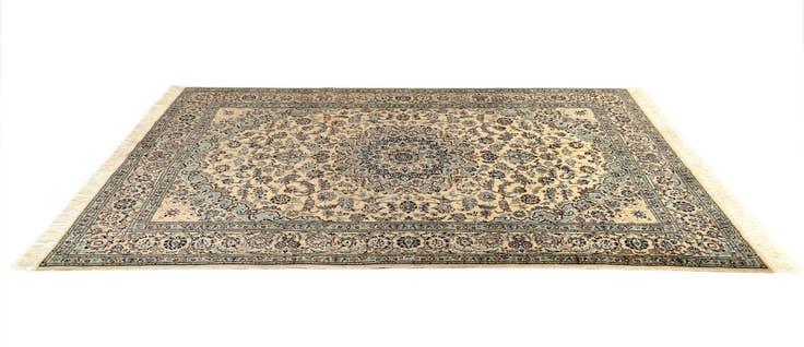Detail image of 5' 4 x 8' 1 Nain Rug