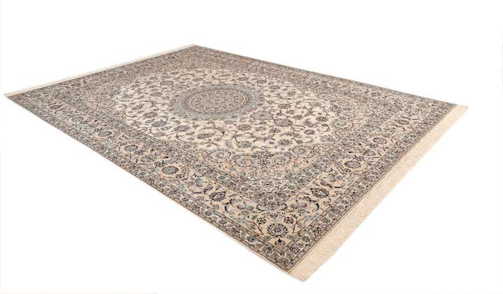 8' 6 x 11' 10 Nain Rug