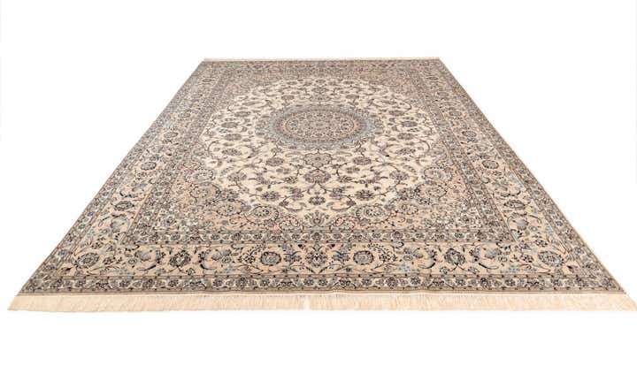 8' 6 x 11' 10 Nain Rug