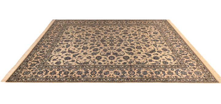 8' 5 x 10' 3 Nain Rug