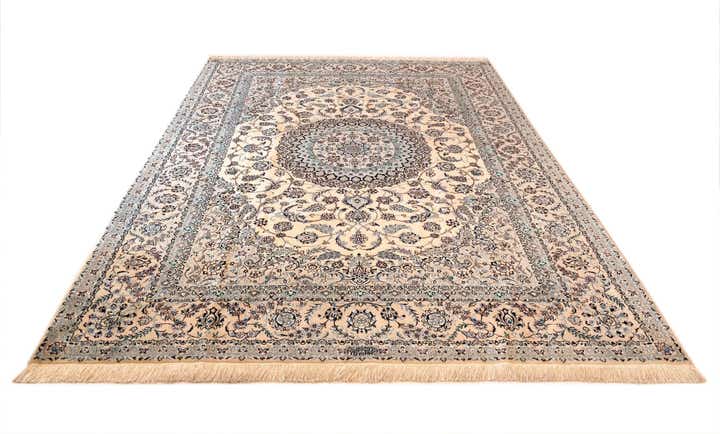 6' 11 x 10' 3 Nain Rug