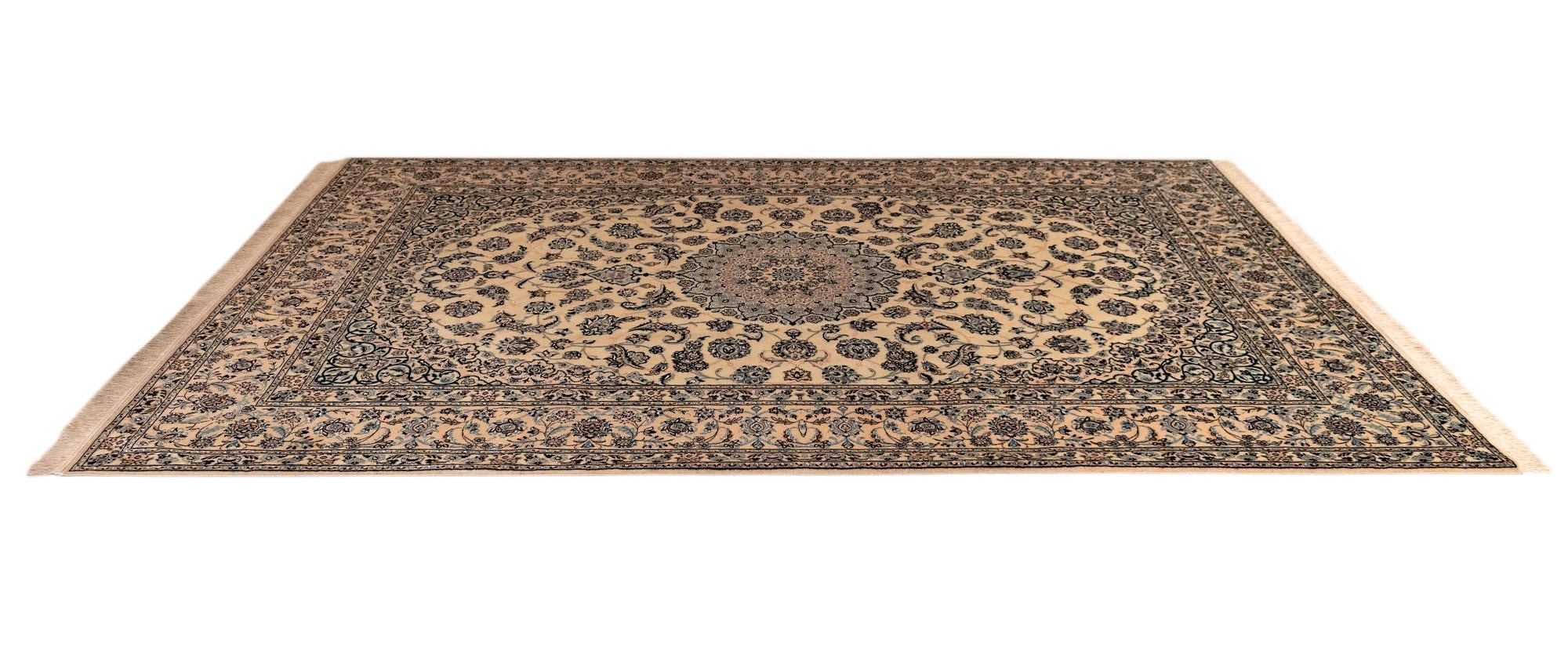 6' 11 x 10' 8 Nain Rug