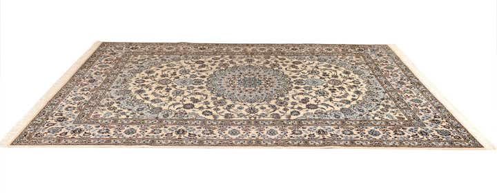 6' 9 x 10' 3 Nain Rug