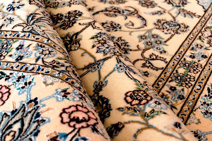 6' 9 x 10' 3 Nain Rug