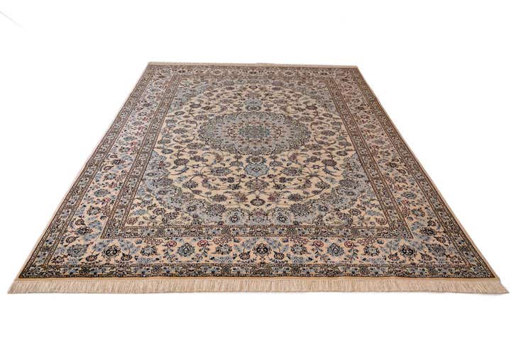 6' 9 x 10' 3 Nain Rug
