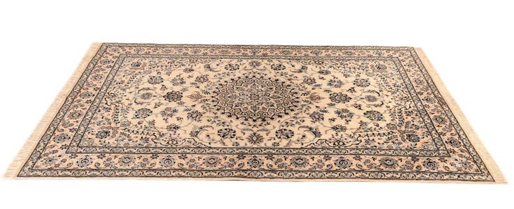 Detail image of 4' 3 x 6' 9 Nain Rug