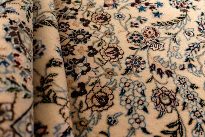 4' 2 x 6' 1 Nain Rug