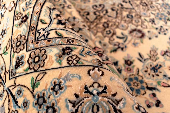 4' 9 x 7' 5 Nain Rug