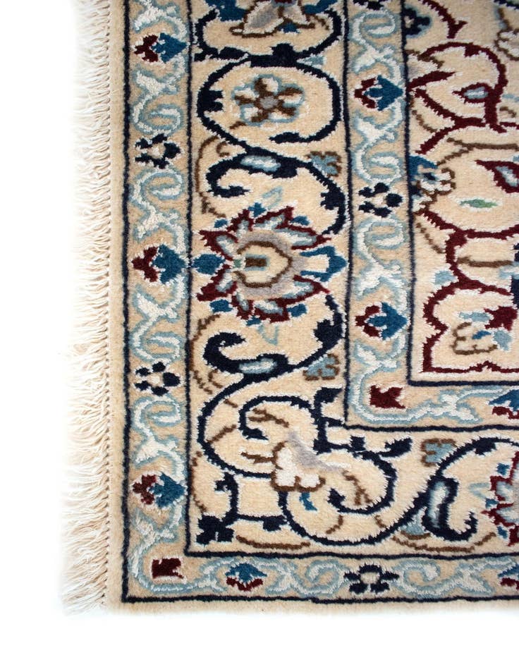 Detail image of 3' 8 x 5' 11 Nain Rug