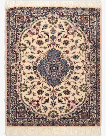 2' 11 x 3' 10 Nain Rug