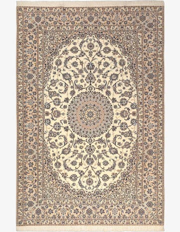 7' x 10' 5 Nain Rug