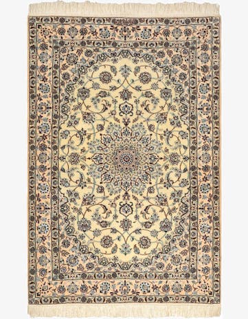 3' 8 x 5' 7 Nain Rug