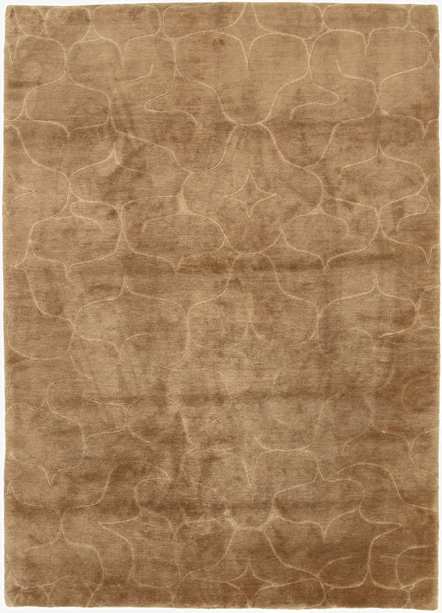4' 9 x 6' 8  Hand Knotted Odegard Rug