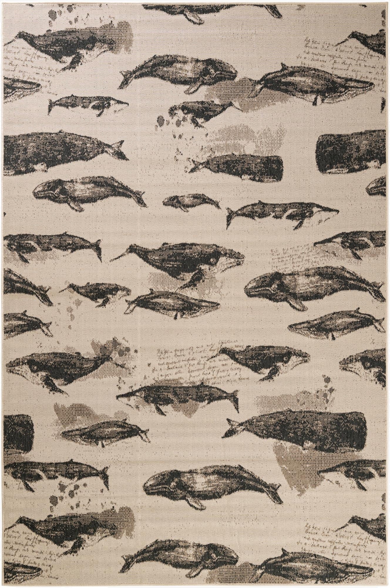 6' x 9'  Washable Coastal Indoor / Outdoor Rug