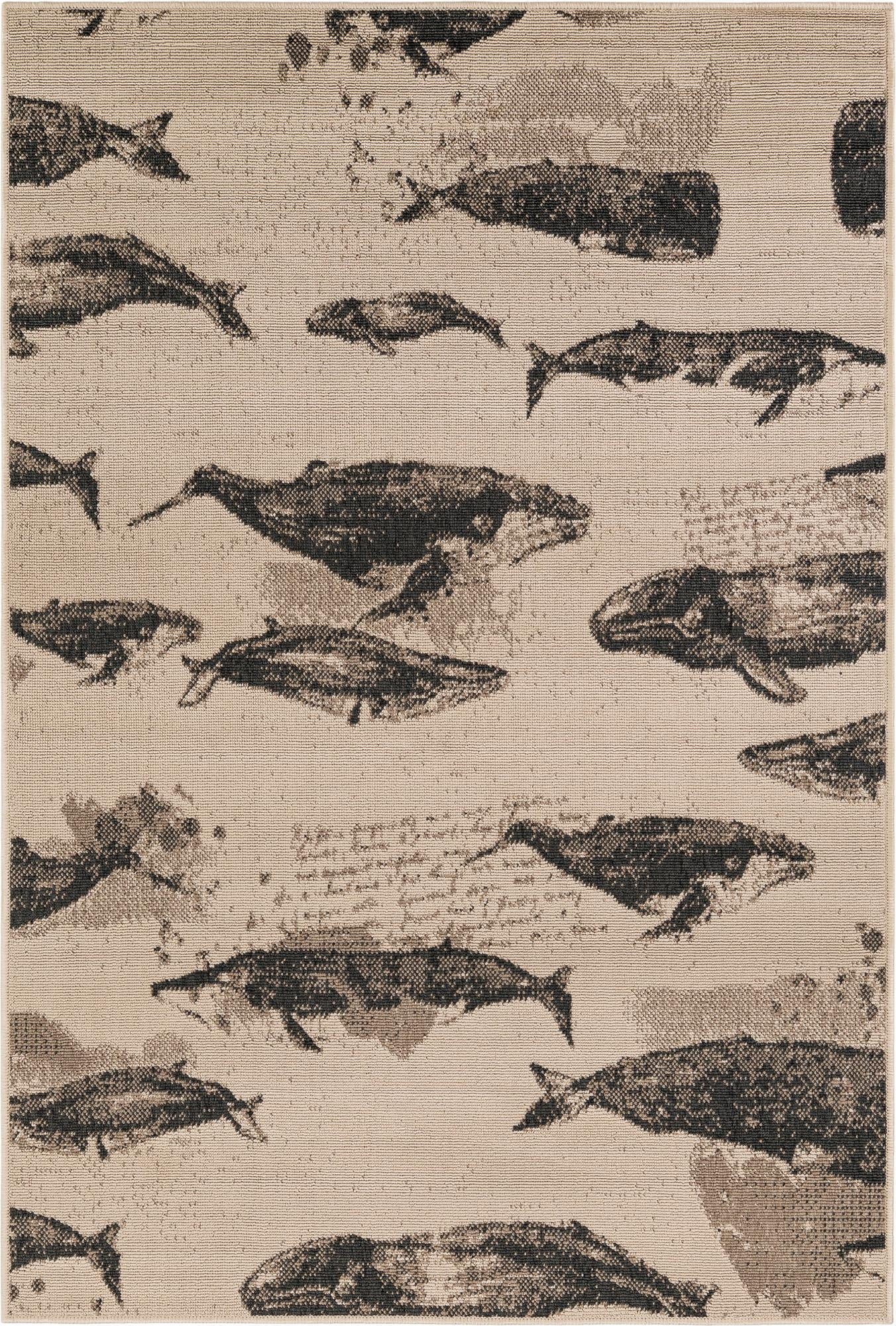 4' x 6'  Washable Coastal Indoor / Outdoor Rug