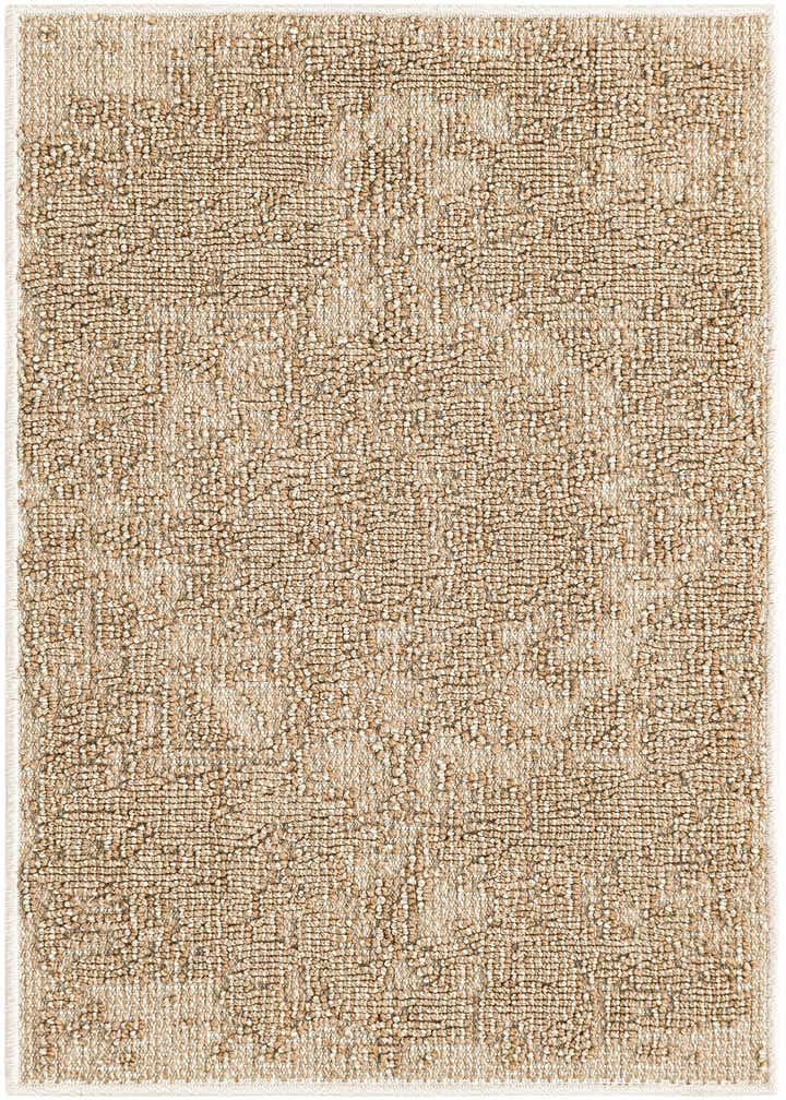 2' x 3' 1 Easy-Clean Traditional Indoor / Outdoor Rug