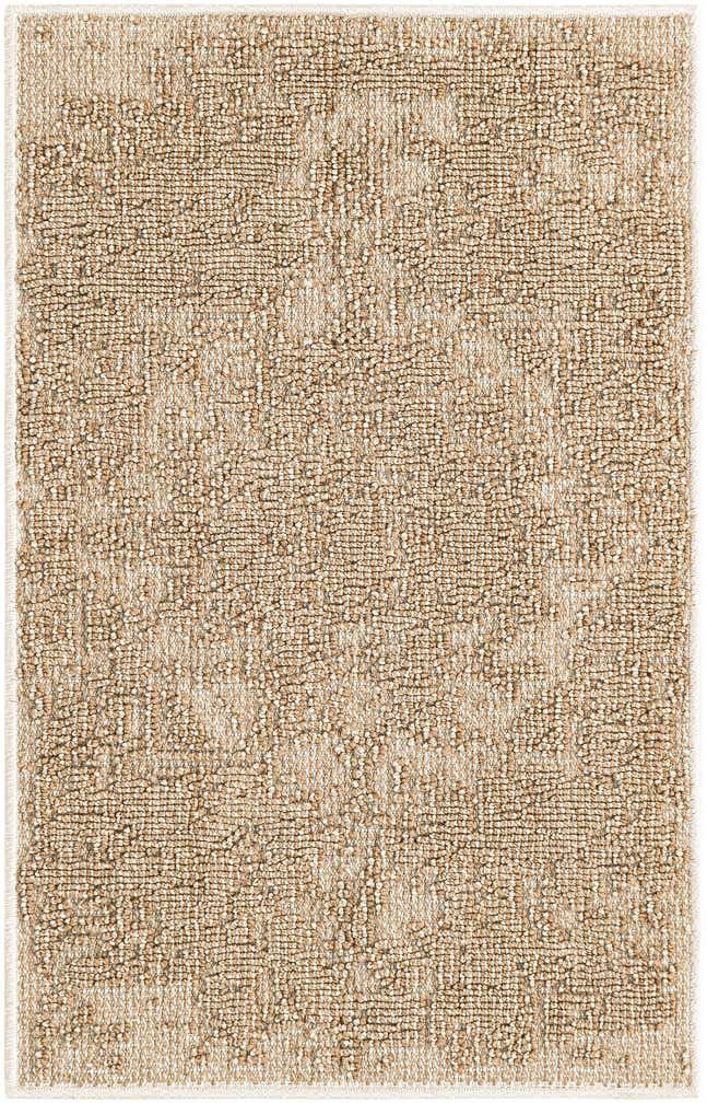2' x 3' 1 Easy-Clean Traditional Indoor / Outdoor Rug