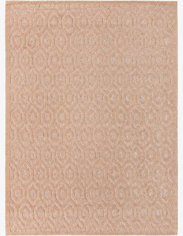 9' x 12' Easy-Clean Trellis Textured Indoor / Outdoor Rug