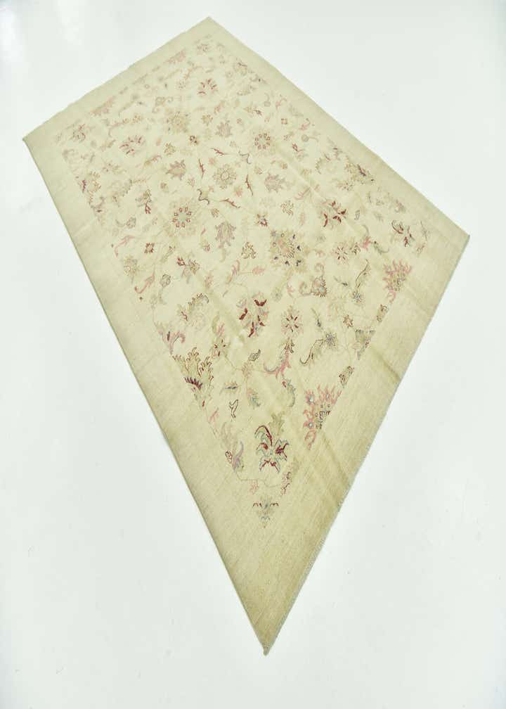 6' x 9' 4 Hand Knotted Peshawar Ziegler Rug