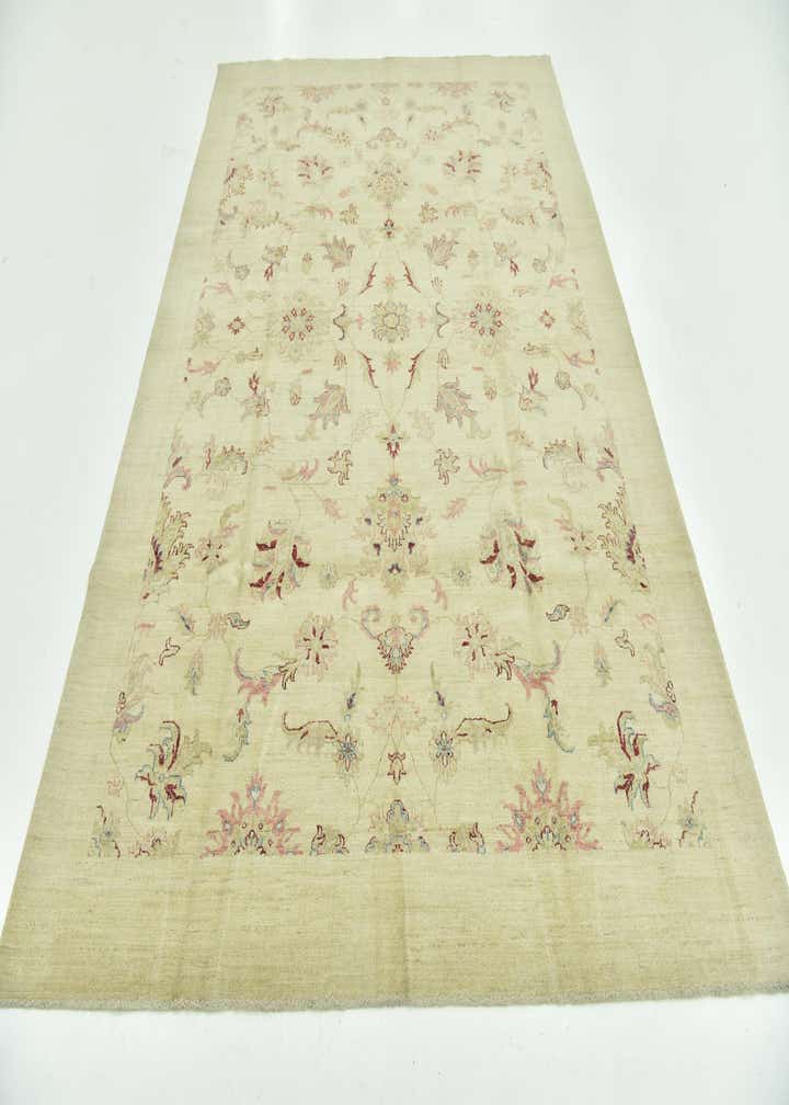 6' x 9' 4 Hand Knotted Peshawar Ziegler Rug