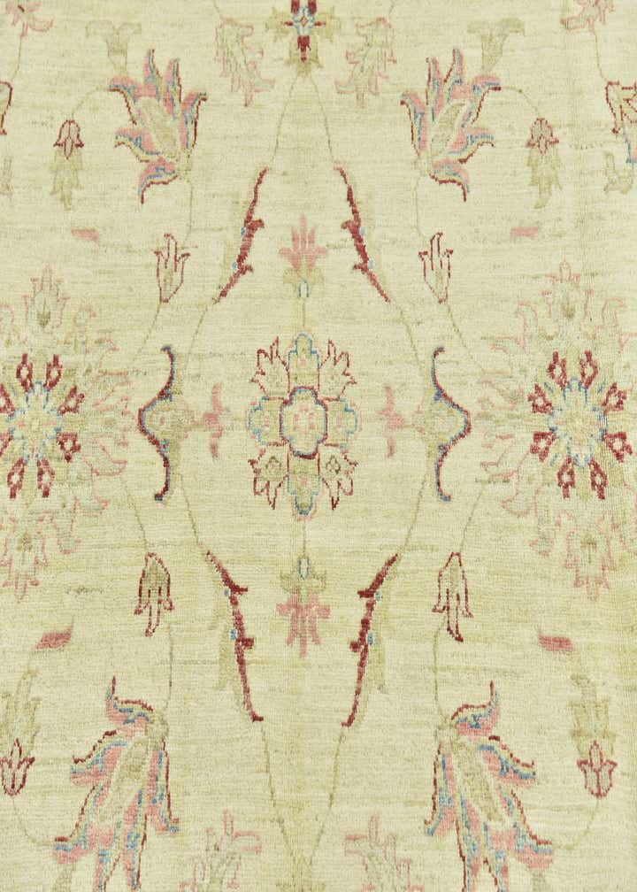 6' x 9' 4 Hand Knotted Peshawar Ziegler Rug
