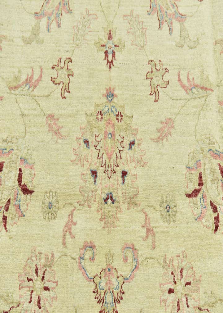 6' x 9' 4 Hand Knotted Peshawar Ziegler Rug
