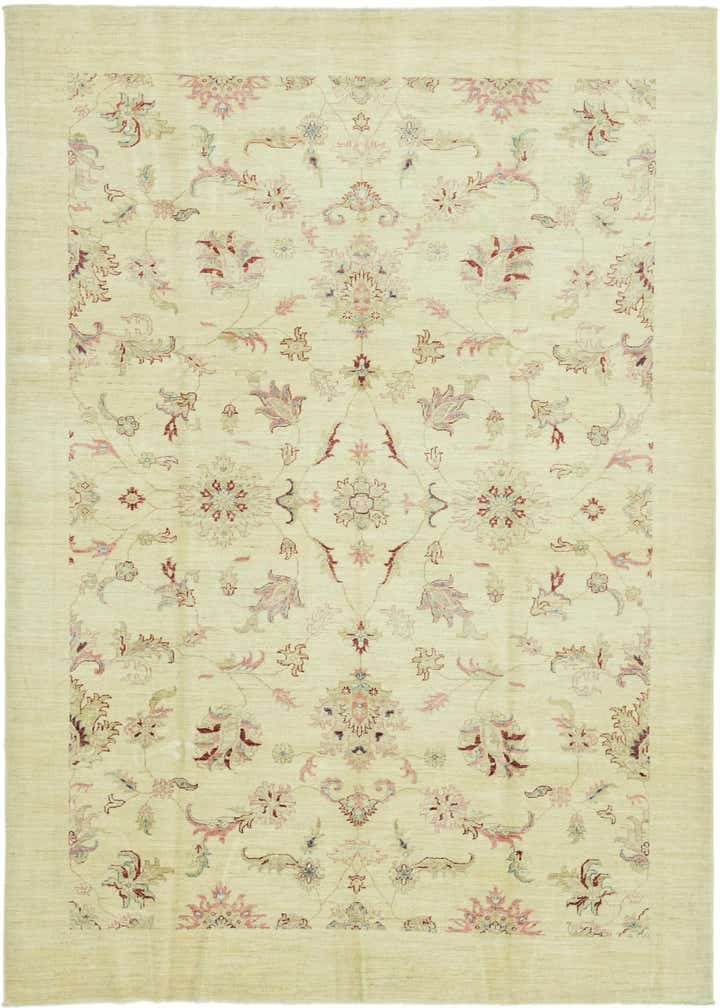 6' x 9' 4 Hand Knotted Peshawar Ziegler Rug