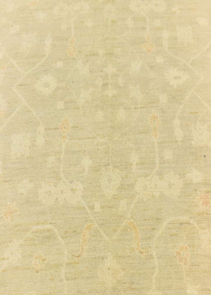 10' 3 x 13' 9 Hand Knotted Peshawar Ziegler Wool Rug