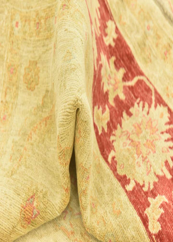 8' 2 x 9' 9 Hand Knotted Peshawar Ziegler Rug