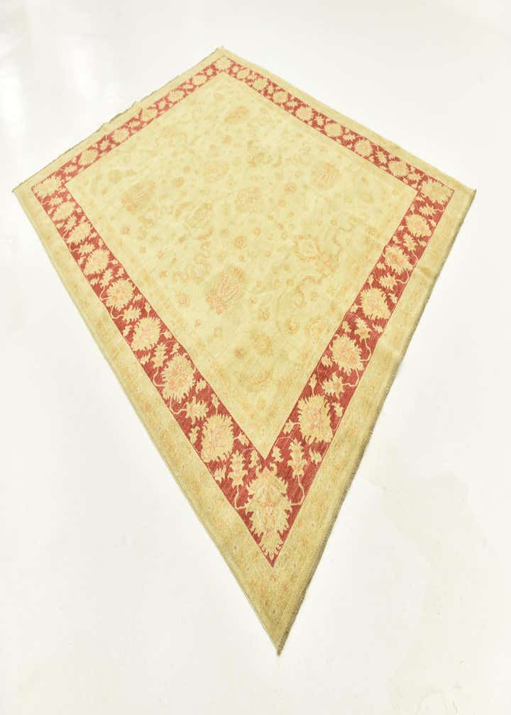 8' 2 x 9' 9 Hand Knotted Peshawar Ziegler Rug