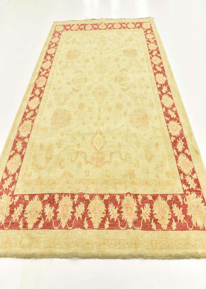 8' 2 x 9' 9 Hand Knotted Peshawar Ziegler Rug