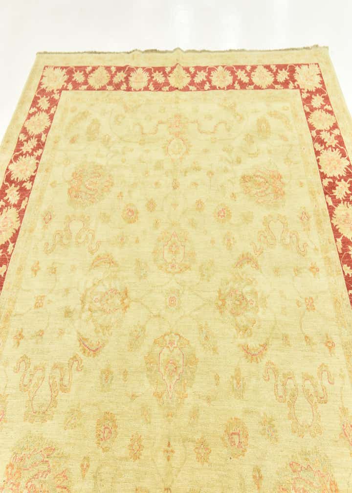 8' 2 x 9' 9 Hand Knotted Peshawar Ziegler Rug