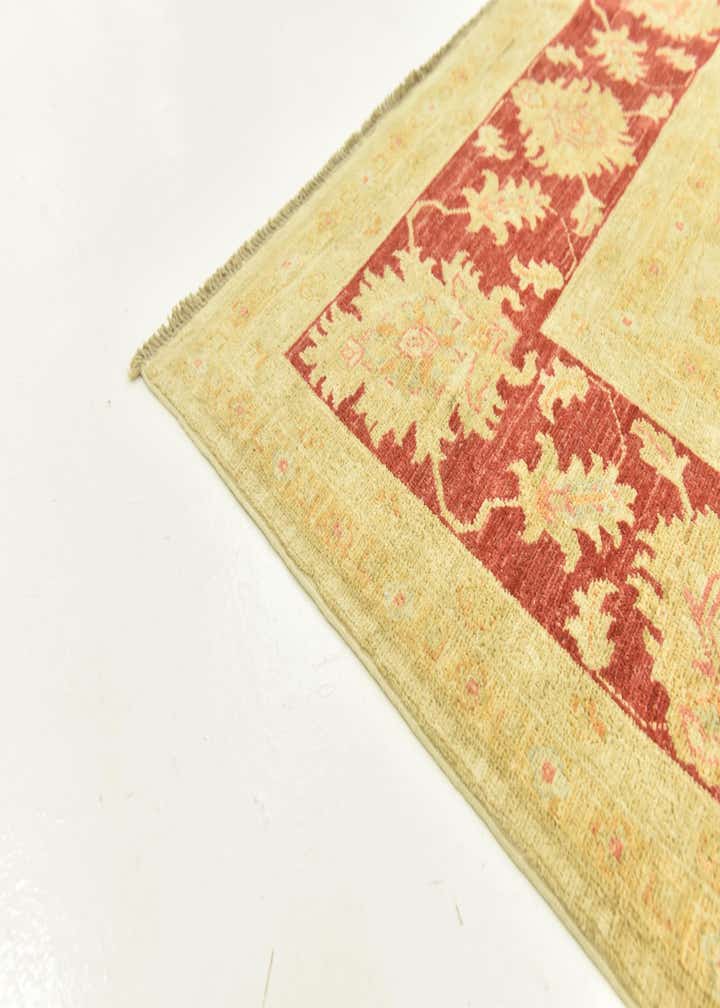 8' 2 x 9' 9 Hand Knotted Peshawar Ziegler Rug