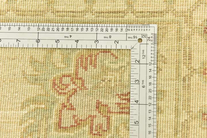 6' 10 x 9' 6 Hand Knotted Peshawar Ziegler Rug