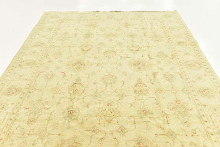6' 10 x 9' 6 Hand Knotted Peshawar Ziegler Rug