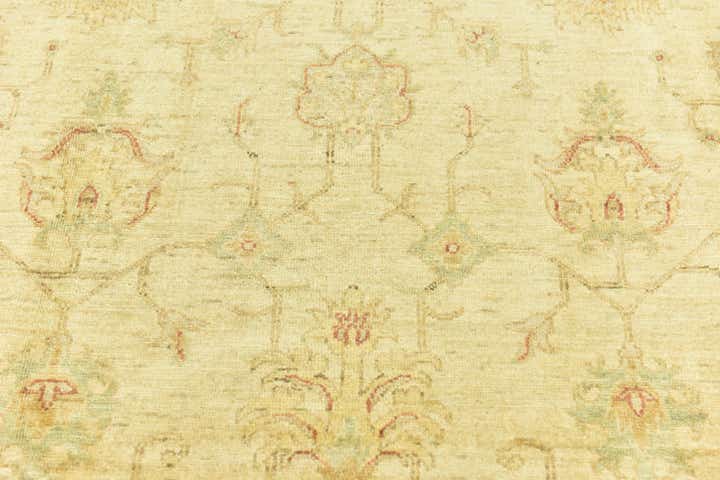 6' 10 x 9' 6 Hand Knotted Peshawar Ziegler Rug