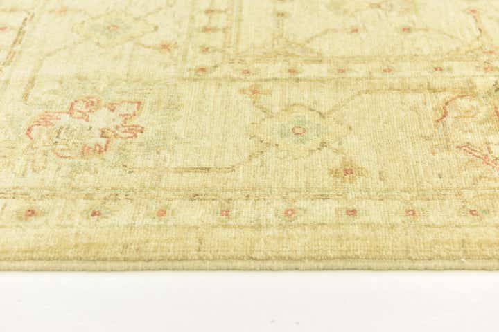 6' 10 x 9' 6 Hand Knotted Peshawar Ziegler Rug
