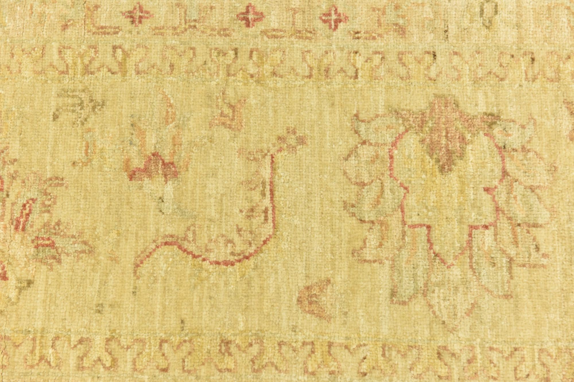 8' 2 x 9' 10 Hand Knotted Peshawar Ziegler Rug