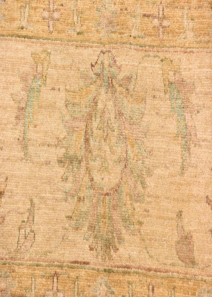 8' 9 x 12' Hand Knotted Peshawar Ziegler Rug