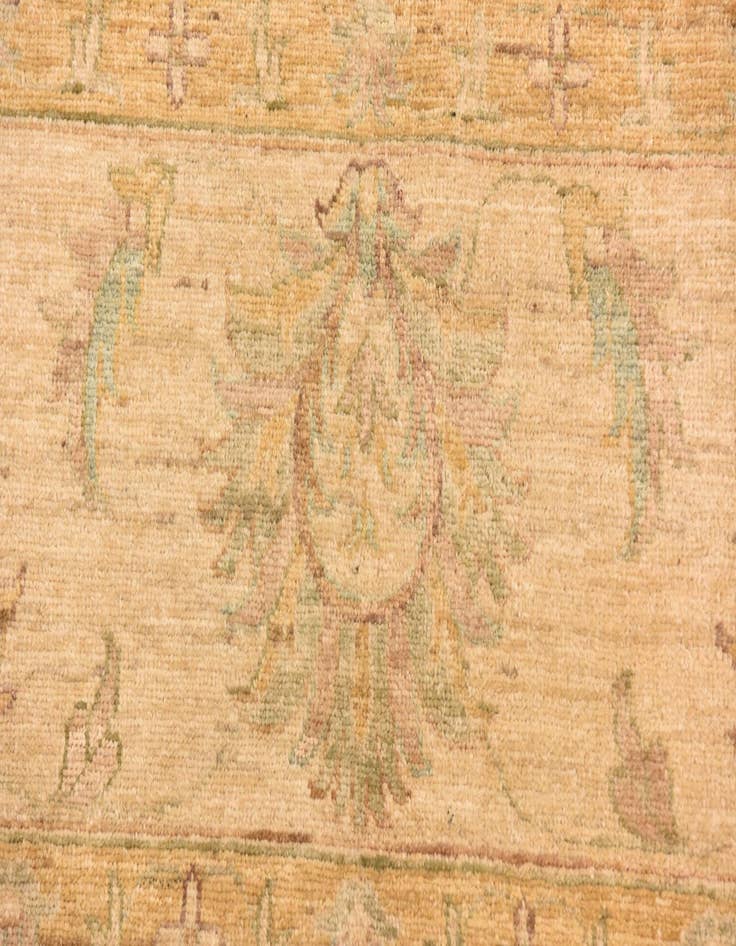 Detail image of 8' 9 x 12' Hand Knotted Peshawar Ziegler Rug