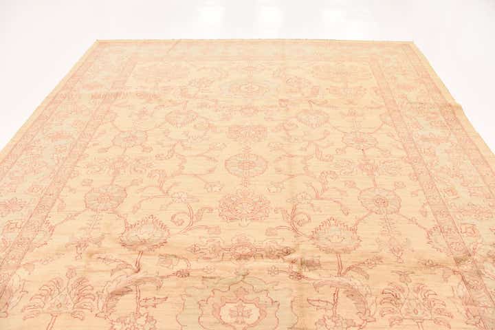 9' x 12' 2 Hand Knotted Peshawar Ziegler Rug