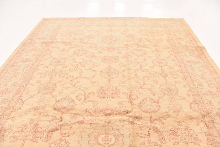 Detail image of 9' x 12' 2 Hand Knotted Peshawar Ziegler Rug