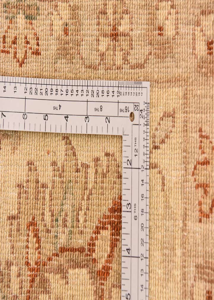 9' 9 x 12' 8 Hand Knotted Peshawar Ziegler Rug