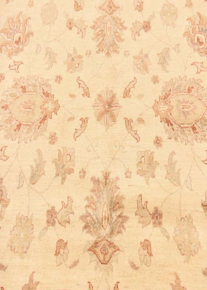 9' 9 x 12' 8 Hand Knotted Peshawar Ziegler Rug