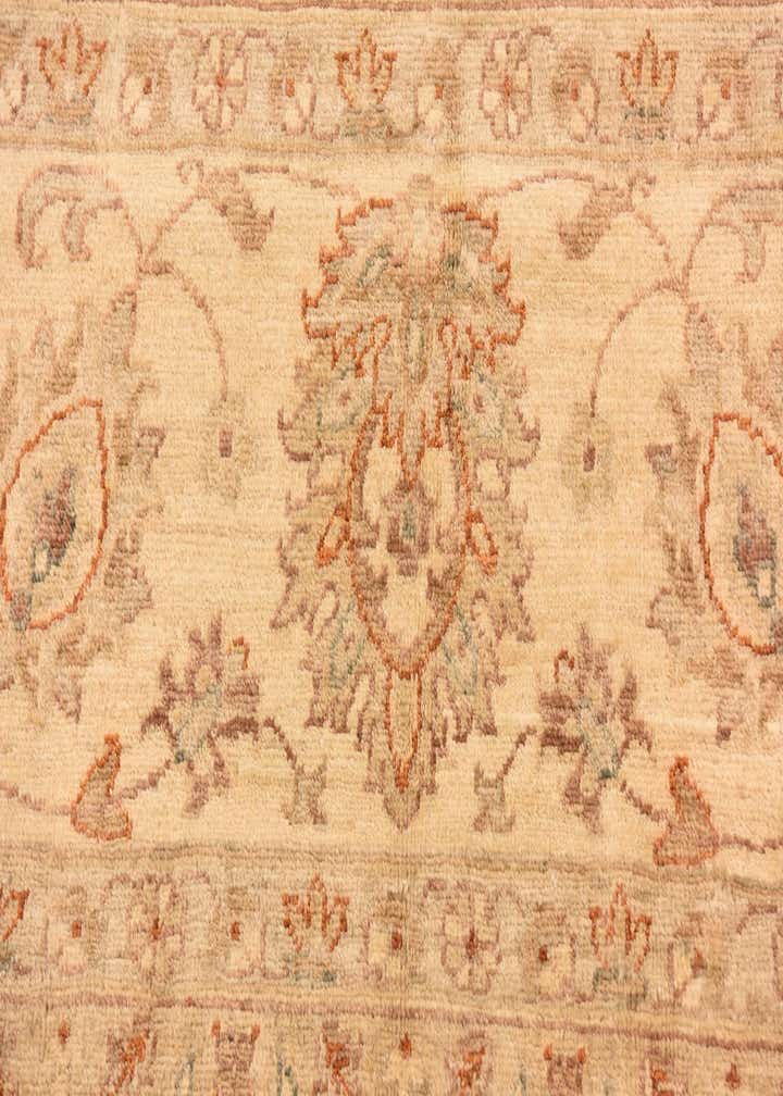 9' 9 x 12' 8 Hand Knotted Peshawar Ziegler Rug