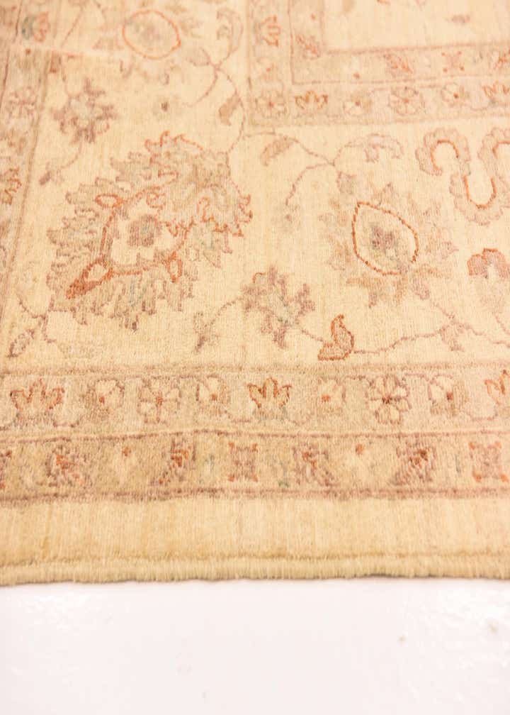 9' 9 x 12' 8 Hand Knotted Peshawar Ziegler Rug