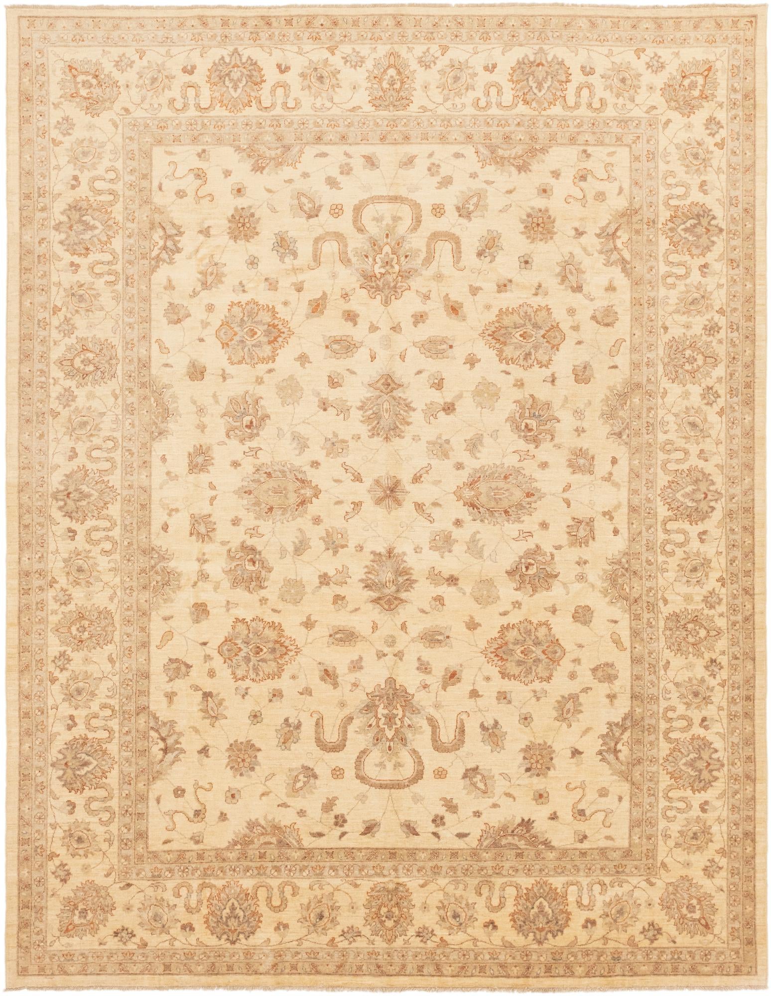 9' 9 x 12' 8 Hand Knotted Peshawar Ziegler Rug