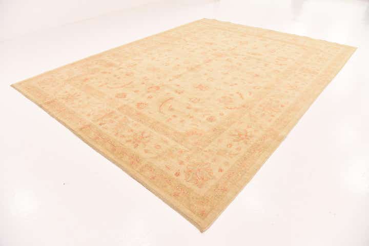 9' 9 x 12' 10 Hand Knotted Peshawar Ziegler Rug