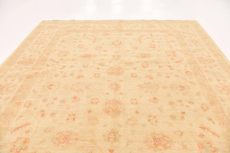 Detail image of 9' 9 x 12' 10 Hand Knotted Peshawar Ziegler Rug